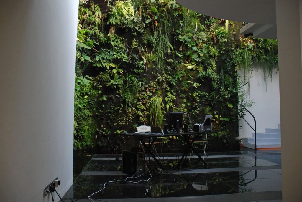 Interior Vertical Garden 9