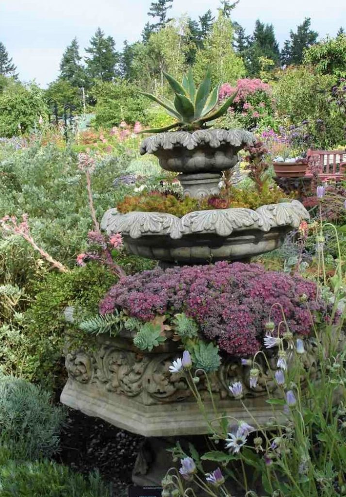 Mediterranean Garden Design and Plants 20