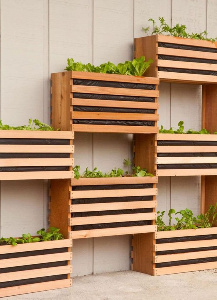 Small Vertical Garden 3