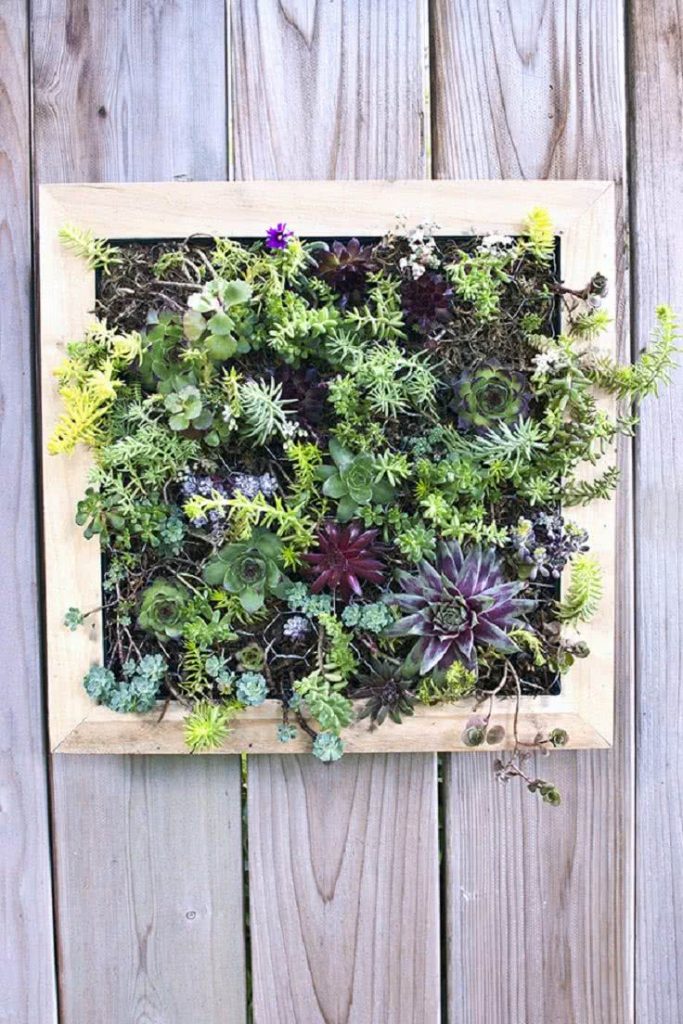 Small Vertical Garden 5