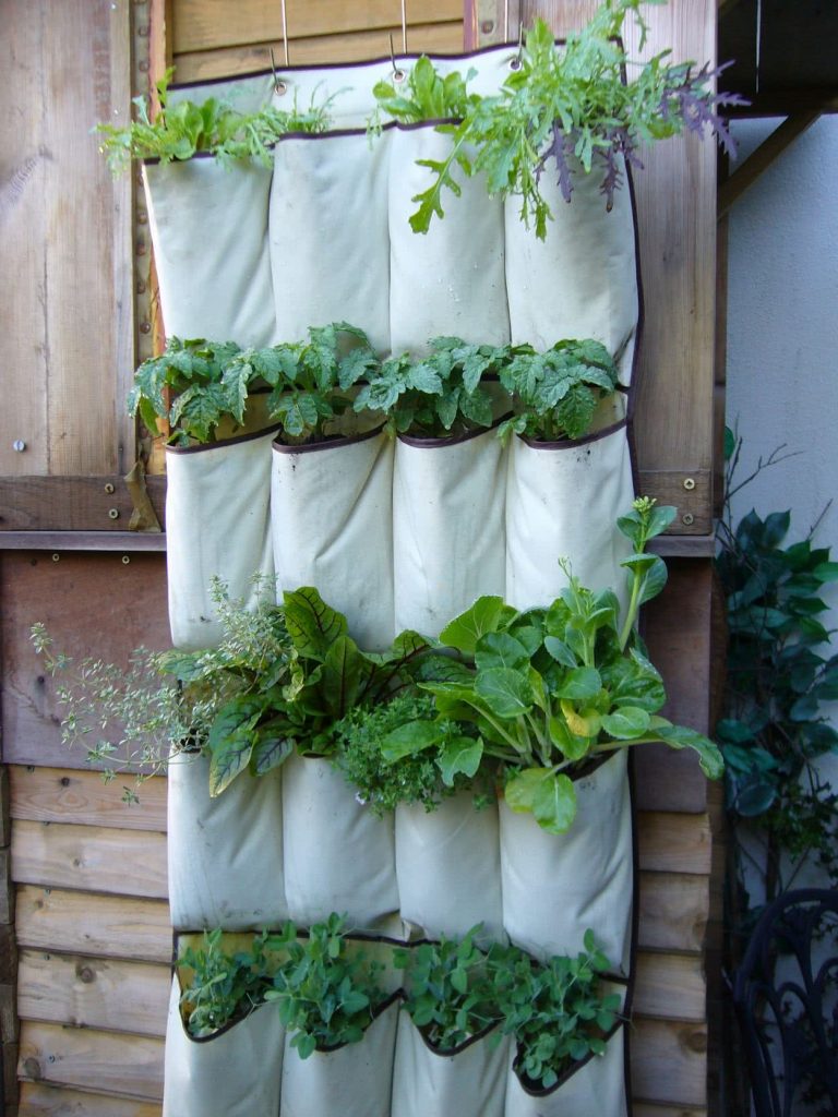 Small Vertical Garden 6