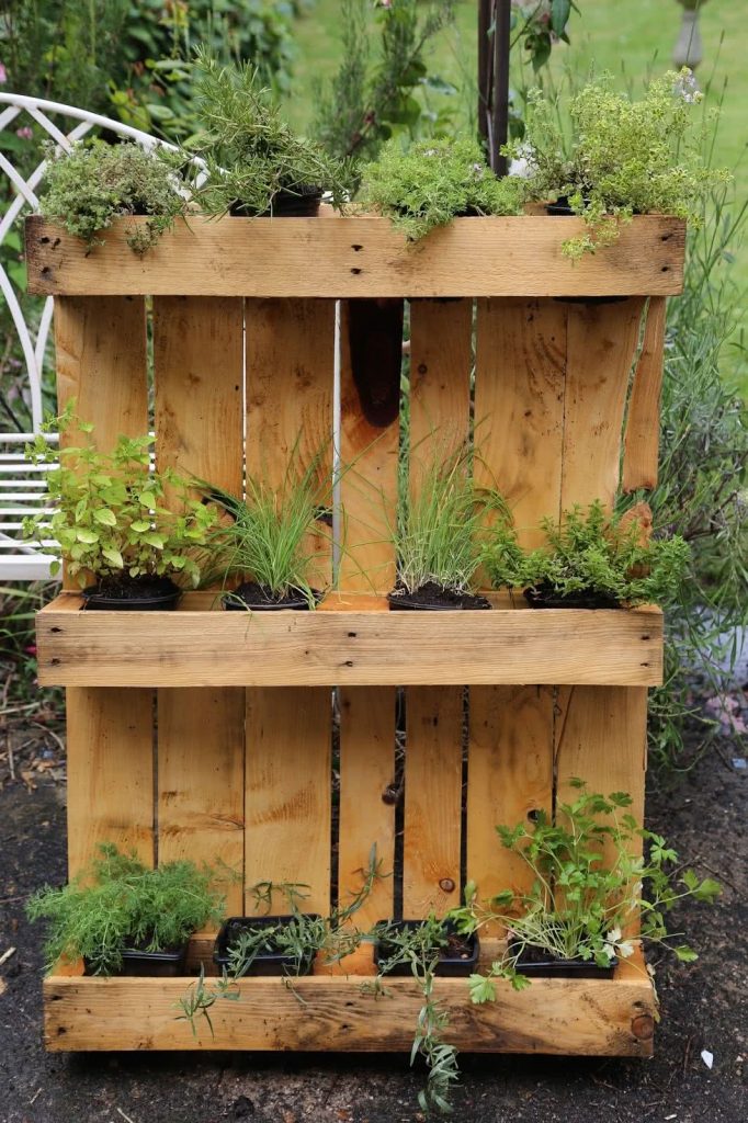 Small Vertical Garden 8