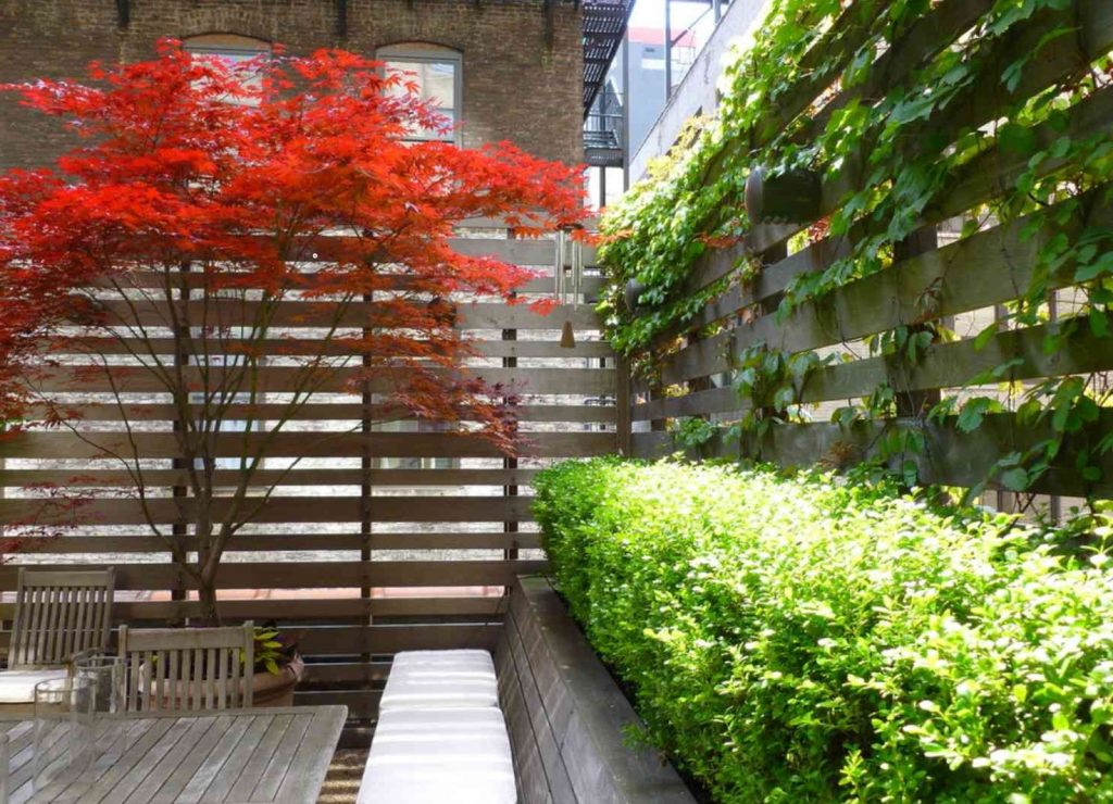 wall roof garden