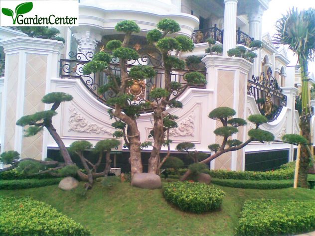 Taman Klasik - jasa tukang taman surabaya