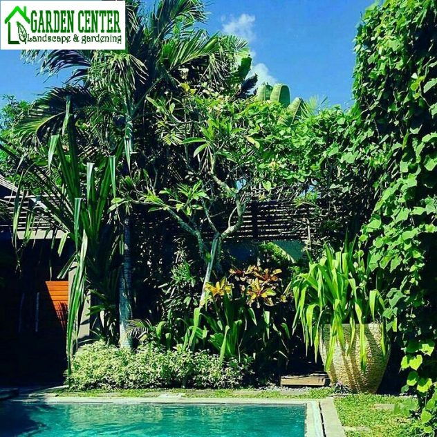 Taman Bali | Konsep Taman Tropis Terbaik Dari Kota Bali