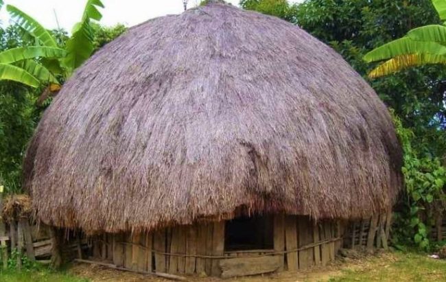 Rumah Adat Papua + Gambar Dan Penjelasan Lengkap