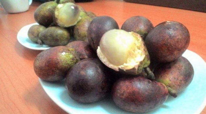 9 Manfaat Buah  Matoa  Untuk Kesehatan Dan Kecantikan