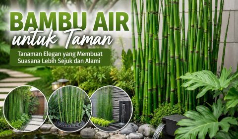 Bambu air untuk taman