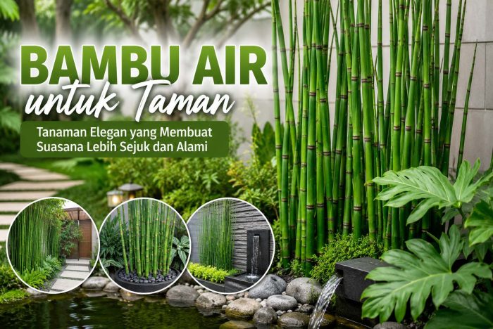 Bambu air untuk taman